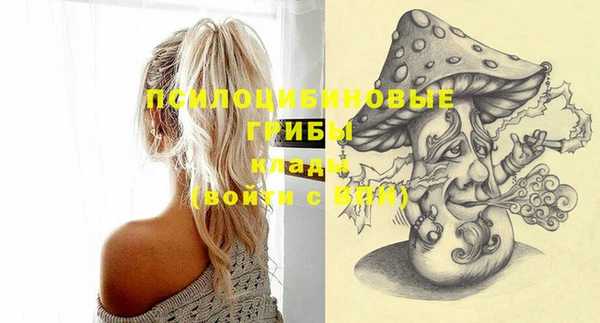мяу мяу мука Няндома